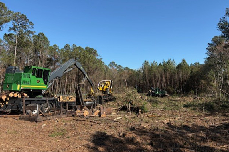 Construction vehicles on site at 10 Innovation Drive in Bluffton ready to clear the land