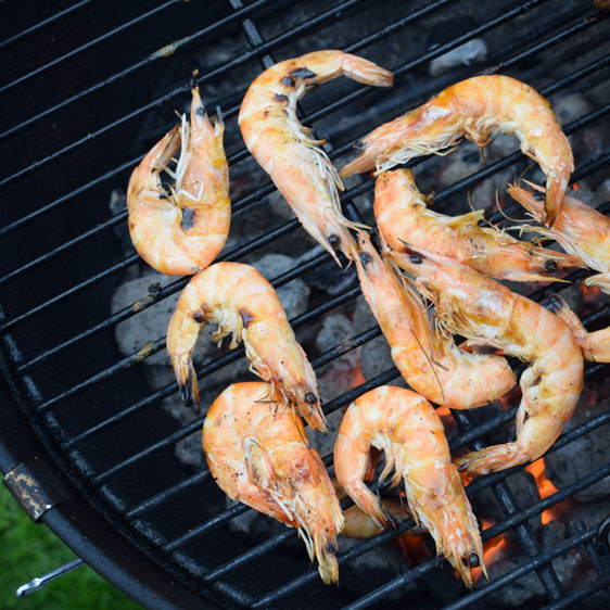 shrimp on the grill