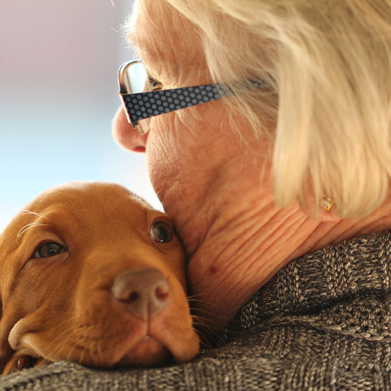 woman holding a puppy