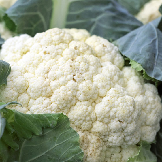 cauliflower