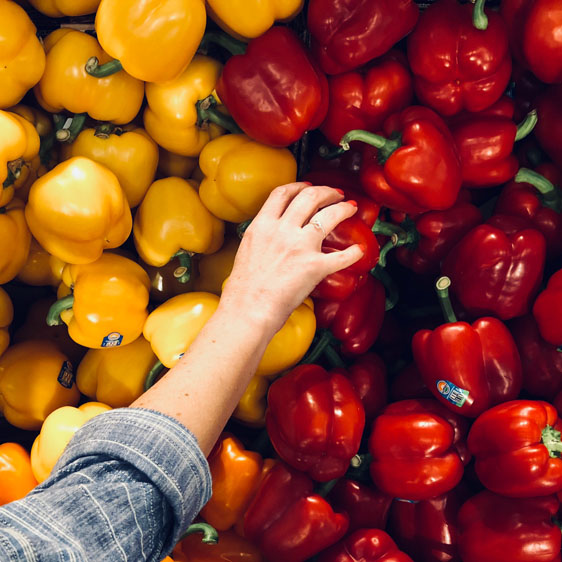 hand selecting a red bell pepper