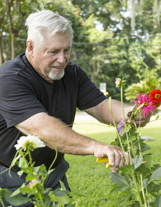 cutting flowers